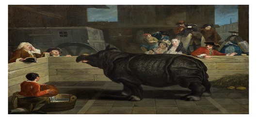 Venetian Painter, Il rinoceronte, 1751
