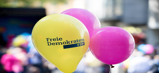 Die neue FDP eine Luftnummer oder Programmatik mit unbedingtem Umsetzungswillen ?