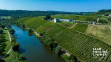 Saar bei Wiltingen